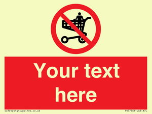 Custom prohibition no standing in trolley